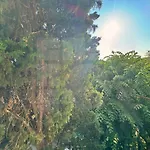 1br Pineview Retreat Apartment