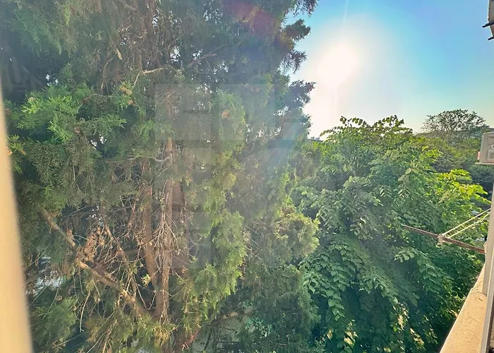 1br Pineview Retreat Apartment